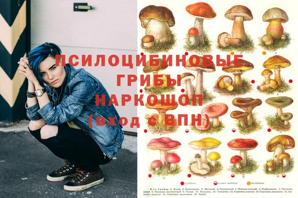 марки lsd Абаза