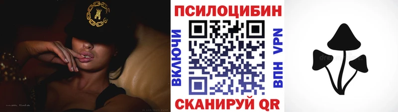 даркнет сайт  shop как зайти  Галлюциногенные грибы Psilocybine cubensis  Щёлково 