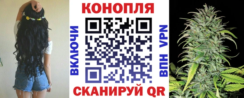 Каннабис конопля Щёлково